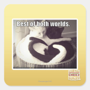 Sticker Carré Meilleur des deux mondes