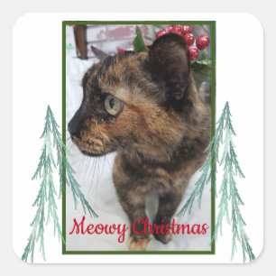 Sticker Carré Meowy Christmas Chat Photo À feuillage persistant