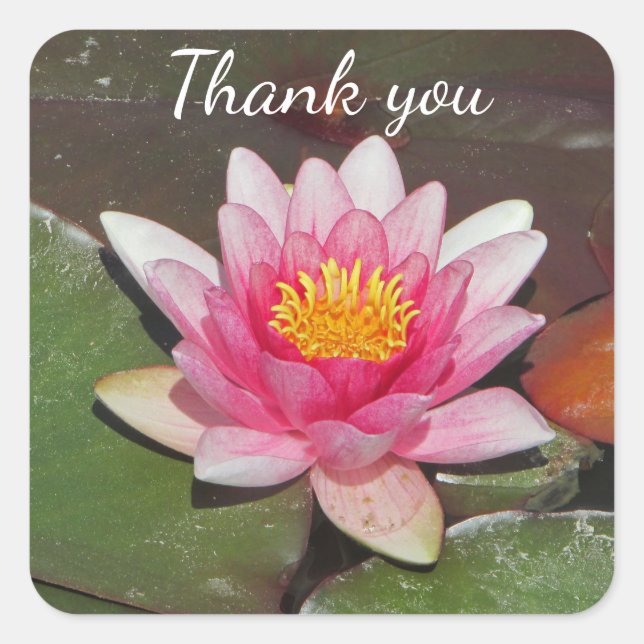 Sticker Carré Merci bon marché Bright Pink Water Lily Photo (Devant)
