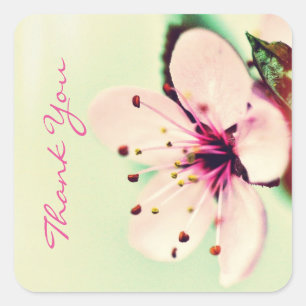 Sticker Carré Merci cerise en fleurs