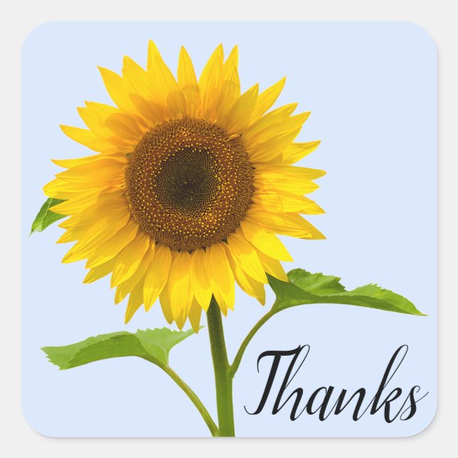 Sticker Carré Merci Floral Sunflower jaune Ciel bleu (Devant)