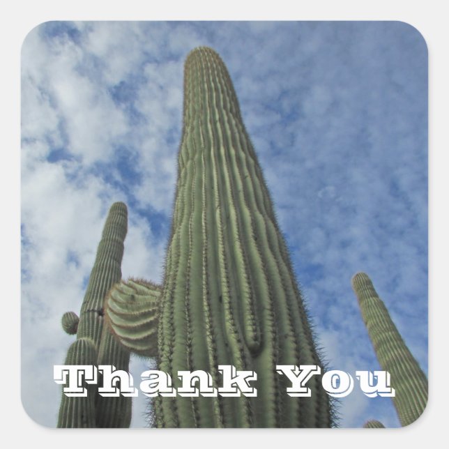 Sticker Carré Merci Saguaro Cactus Ciel Bleu Appréciation (Devant)