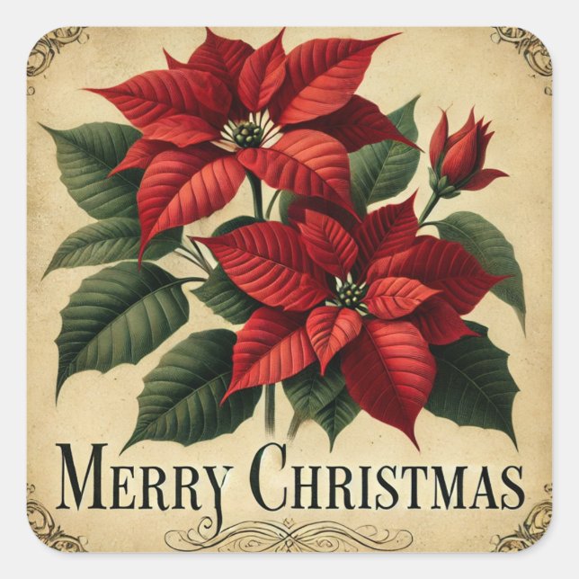STICKER CARRÉ MERRY CHRISTMAS POINSETTIA VINTAGE (Devant)