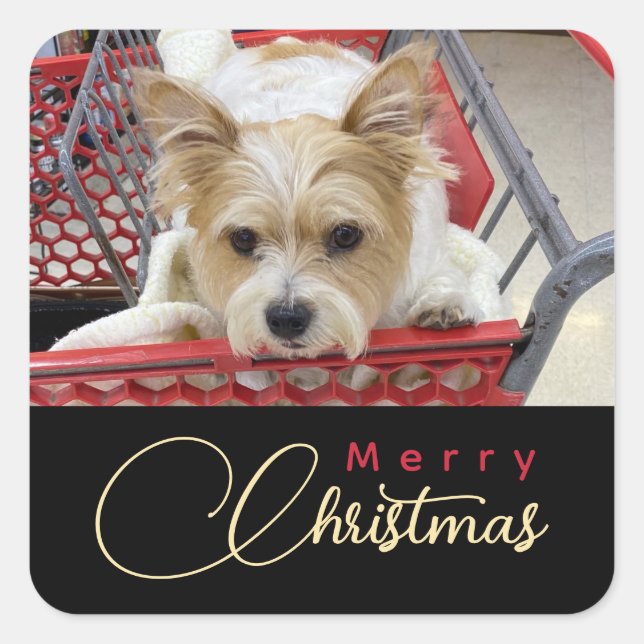 Sticker Carré Merry Christmas Puppy Photo Shopping Cart  (Devant)