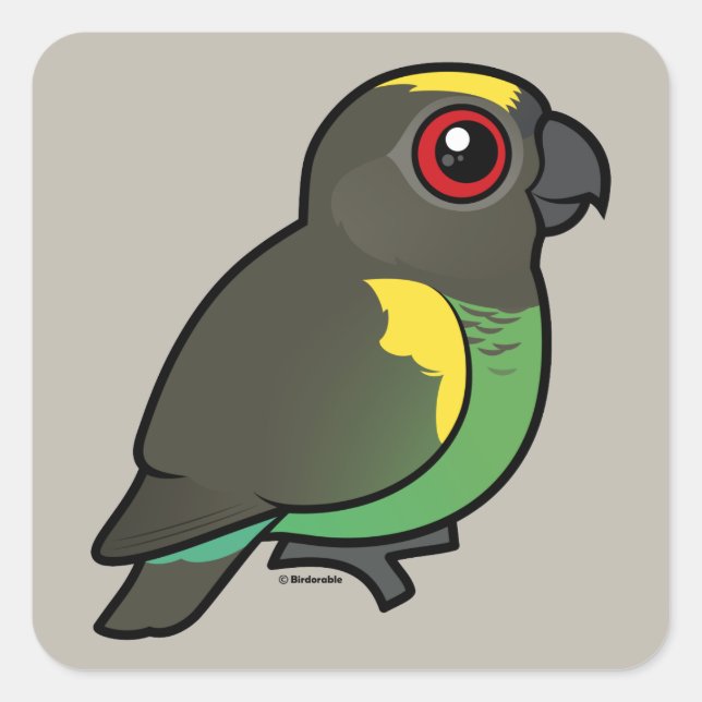 Sticker Carré Meyer's Parrot (Devant)