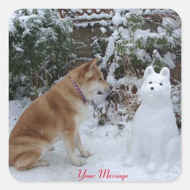 Sticker Carré mignon akita assis avec un bonhomme de neige dans  (Devant)