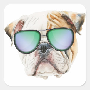 Sticker Carré Mignon chien anglais avec lunettes de soleil, Gros