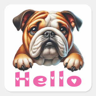 Sticker Carré Mignon chiot Bouledogue Anglais Bonjour 