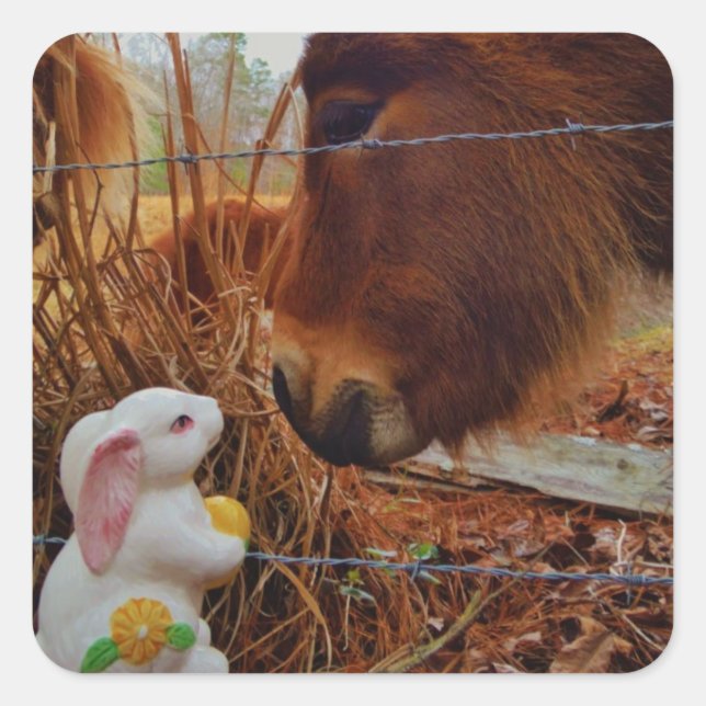 Sticker Carré Miniature cheval Brown et lapin de Pâques (Devant)