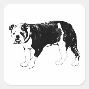 Sticker Carré Moment Bouledogue, Délice Visuel