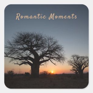 Sticker Carré Moments romantiques Coucher de soleil Sacred Baoba