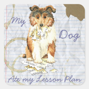 Sticker Carré Mon Collie a mangé mon plan de leçon