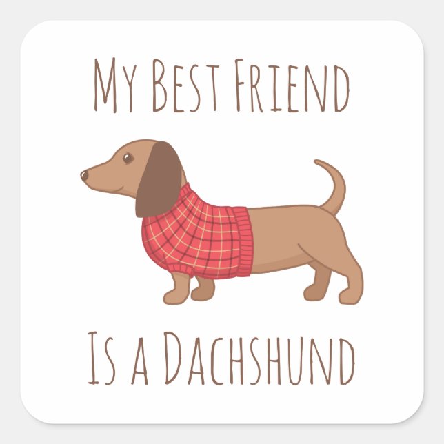 Sticker Carré Mon meilleur ami Dachshund Wiener Chien Sweat roug (Devant)