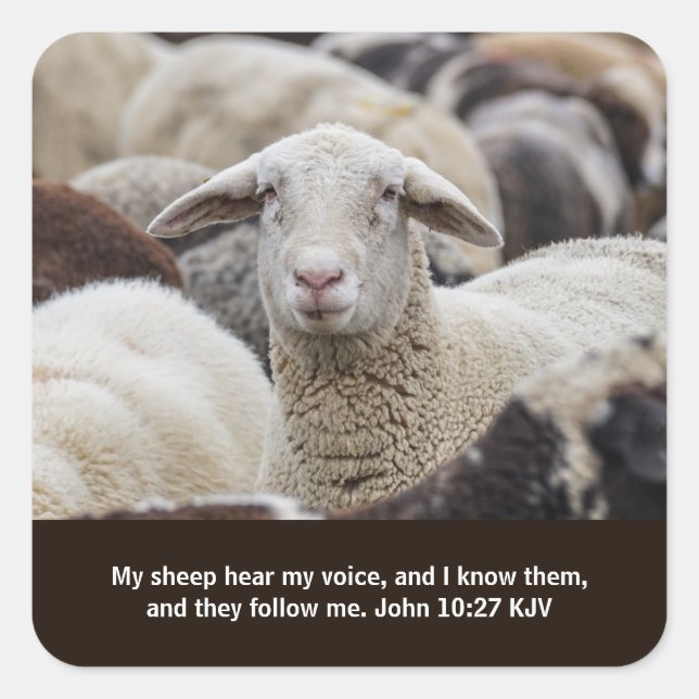 Sticker Carré Mon mouton entend ma voix, Écriture, Mouton en tro (Devant)