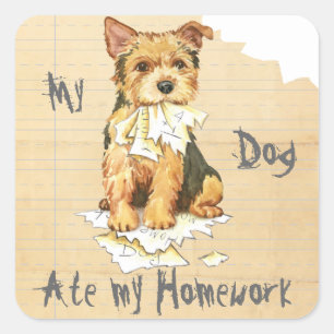 Sticker Carré Mon Norwich Terrier a mangé mon travail