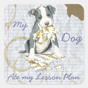 Sticker Carré Mon Pit Bull Mange Mon plan de leçon