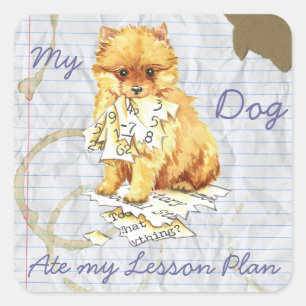 Sticker Carré Mon plan de leçon Poméranien Mangé Mon plan de leç