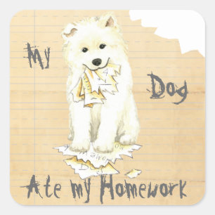 Sticker Carré Mon Samoyed Ate my Homework