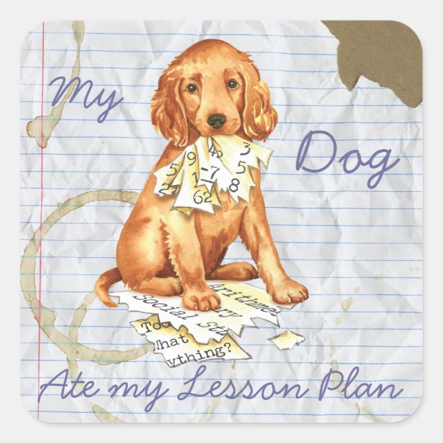 Sticker Carré Mon Setter irlandais a mangé mon plan de leçon (Devant)