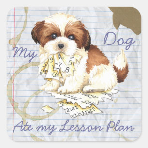 Sticker Carré Mon Tzu Shih a mangé mon plan de leçon