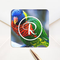Monographie de l'oiseau rouge vert bleu