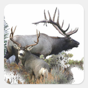 Sticker Carré Monster bull trophée buck