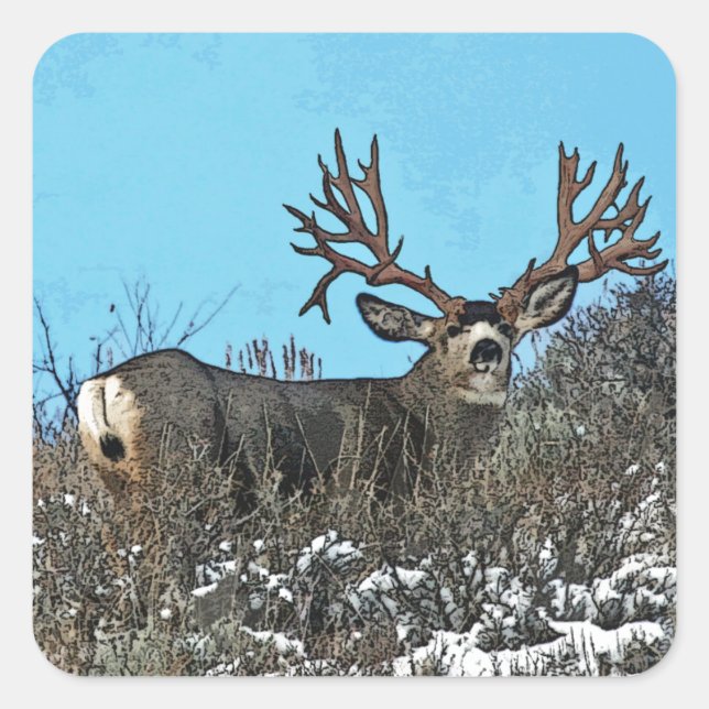 Sticker Carré Monster mule deer buck (Devant)