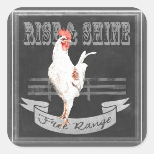 Sticker Carré Monter et briller le coq