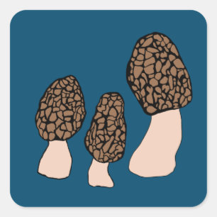 Sticker Carré Morels Champignons Fun Fungi PERSONNALISER IT