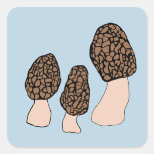 Sticker Carré Morels Champignons Fun Fungi PERSONNALISER IT