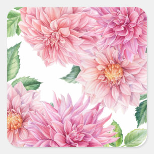 Sticker Carré Motif floral de dahlia à l'aquarelle rose blush