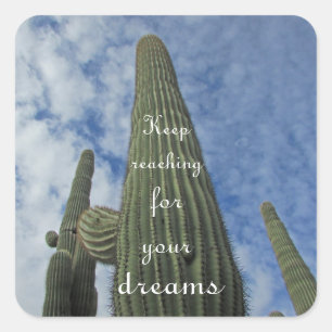 Sticker Carré Motivationnel Saguaro Cactus Blue Sky Inspiration