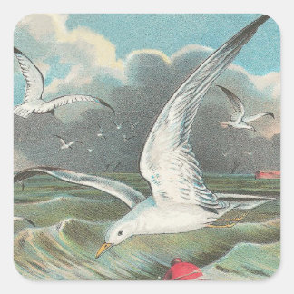 Sticker Carré Mouette