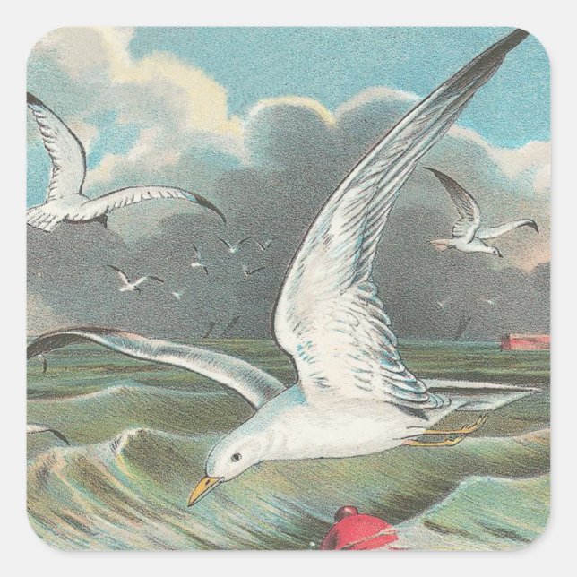Sticker Carré Mouette (Devant)