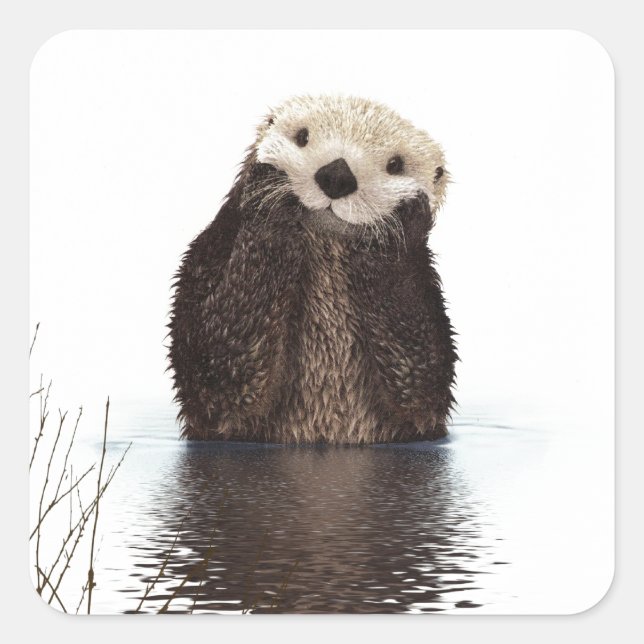 Sticker Carré Moufle de Fluffy adorable mignonne animal (Devant)