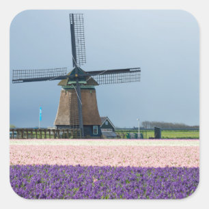 Sticker Carré Moulin à vent traditionnel aux fleurs roses et vio
