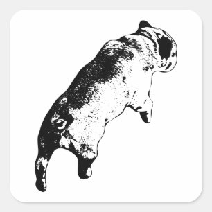 Sticker Carré Mouvement Frais