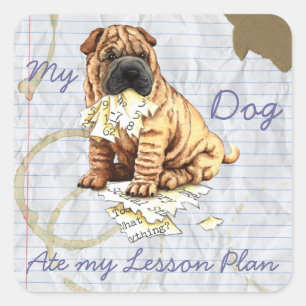 Sticker Carré My Chinese Shar-Pei Mange Mon Plan De Leçon