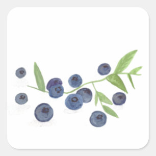 Sticker Carré Myrtilles fruit décor de cuisine aquarelle 