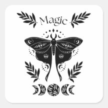 Mystique papillon noir lune et magie