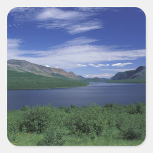 Sticker Carré N.A., Canada, Terre-Neuve, truite Grose Morne