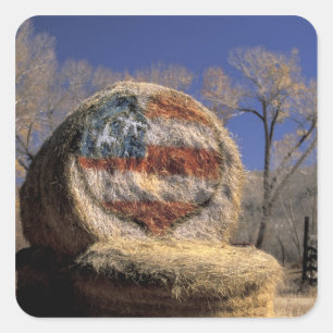 Sticker Carré Na, Etats-Unis, le Colorado, Gunnison. Petit pain