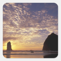 NA, États-Unis, Oregon, côte de l'Oregon, Canon Be