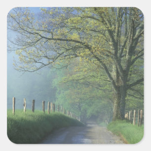 Sticker Carré NA, USA, Tennessee, Cades Cove, Great Smoky