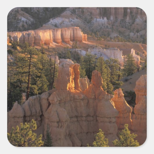 Sticker Carré NA, USA, Utah, Bryce Canyon NP 2 (Devant)