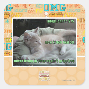 Sticker Carré Ne plus jamais vivre dans une cage