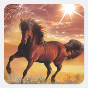 Sticker Carré Né Pour Être Sauvage Courant Spirit Cheval