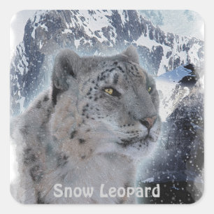 Sticker Carré NEIGE LEOPARD Espèces menacées de Gros Chat