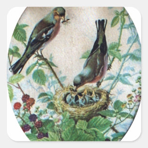 Sticker Carré Nest of Joy : L'amour du jeune esprit nourdissant 