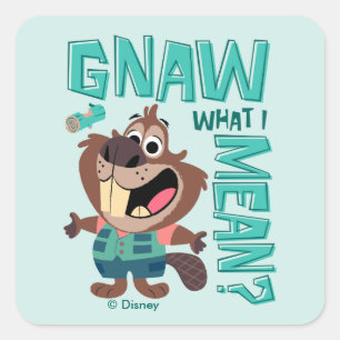 Sticker Carré Nibbles Maplestick - Grignoter ce que je veux dire